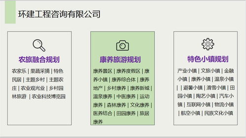 安國(guó)社會(huì)穩(wěn)定風(fēng)險(xiǎn)評(píng)估報(bào)告 信息系統(tǒng)集成服務(wù)公司的專(zhuān)業(yè)能力分析